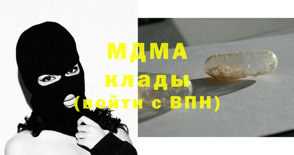 прущие грибы Елабуга