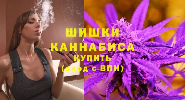 индика Абдулино