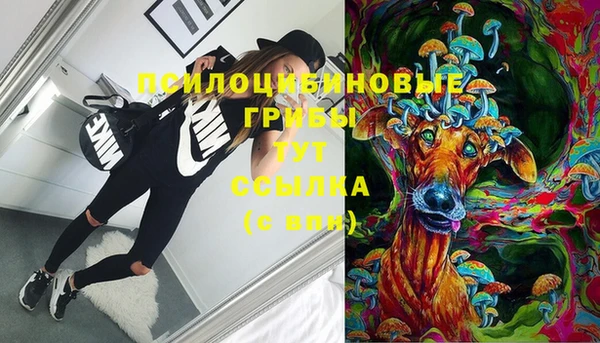 амф Алексеевка