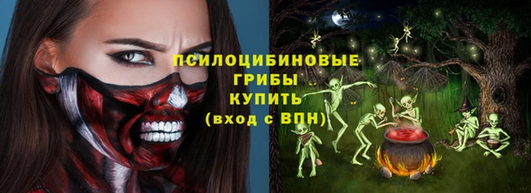 герыч Алексин