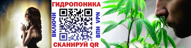 где купить   Темрюк  Бошки Шишки семена 